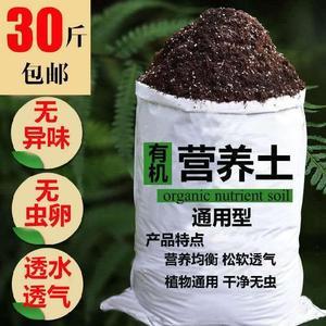 种草莓的营养土
