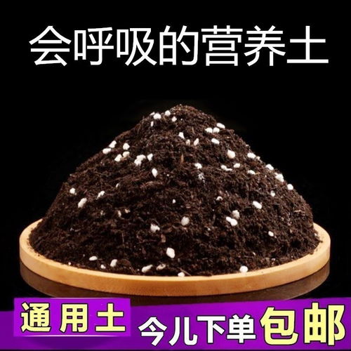 花泥营养土大包包邮花肥料养花种花土种菜种植土多肉泥土兰花土壤