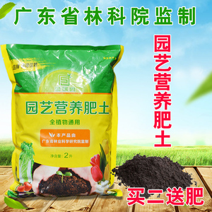 花卉多肉种子