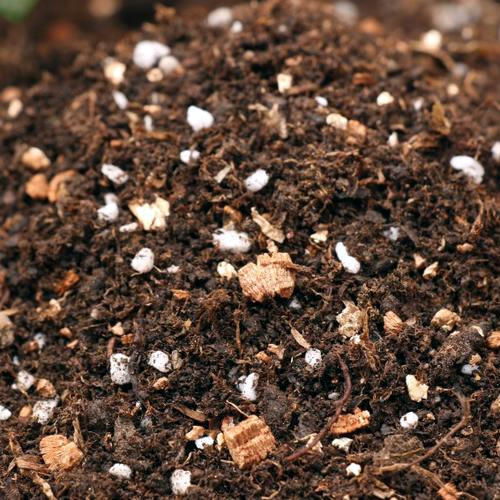 自制营养土 家里常见材料变身植物营养库