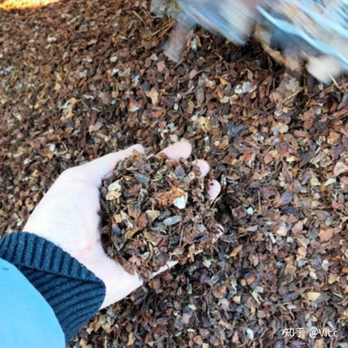 泥炭、椰砖、营养土、颗粒土、黑土 常见种植基质比较