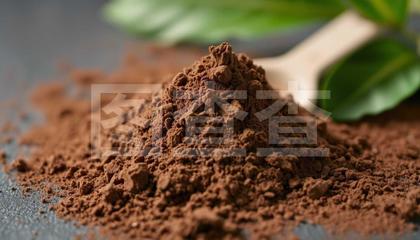 营养土的选择与使用指南