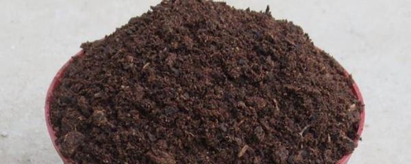 家庭育苗营养土的科学配比与制作方法