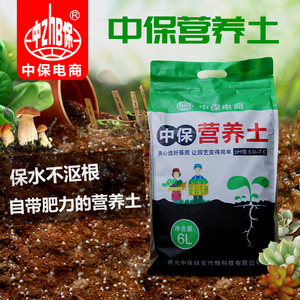 兰花栽培新宠 解密兰花有机营养土的科学奥秘