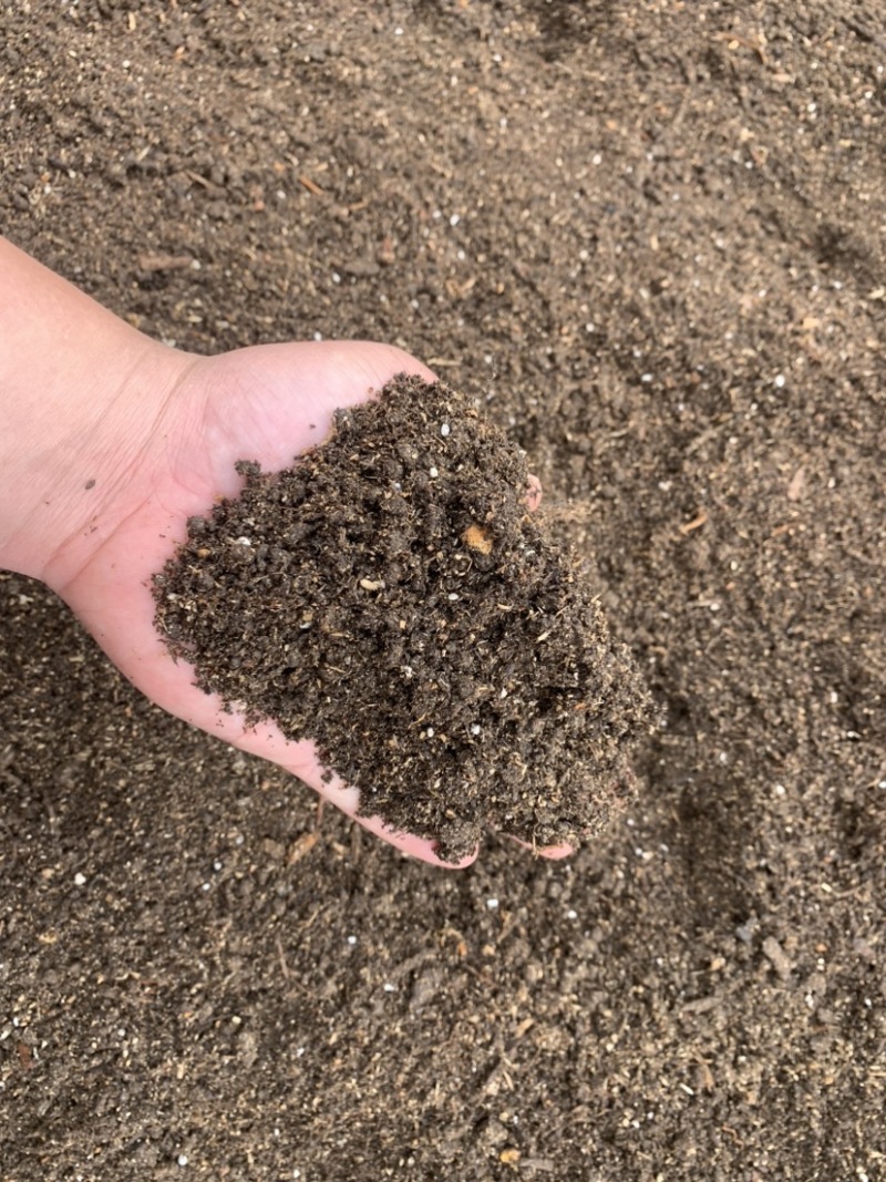 肇庆高要区优质育苗基质 经济实用的泥炭土营养土选择