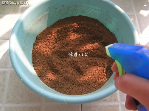 竹林深处藏宝土 天然腐殖土，养花胜买土