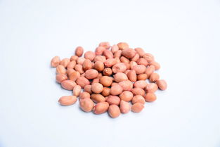 生花生米高清设计素材及饮品美食营养大全