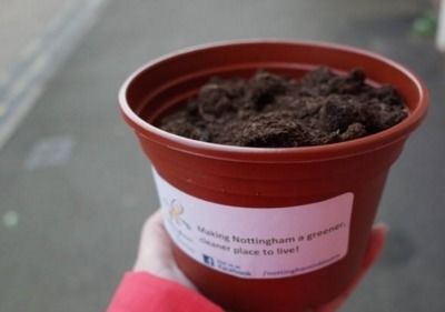 营养土的正确使用方法与注意事项