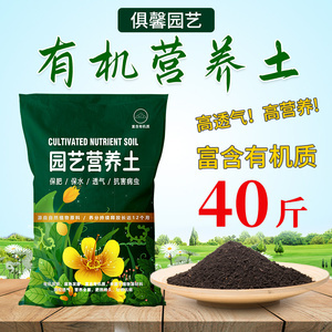 杏花山多肉营养土 为你的多肉植物打造理想家园