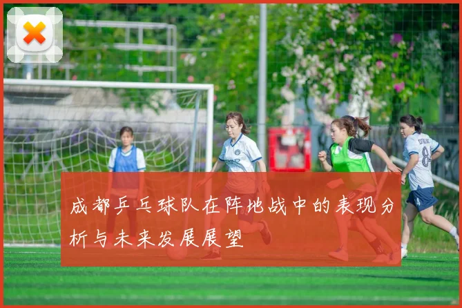 成都乒乓球队在阵地战中的表现分析与未来发展展望